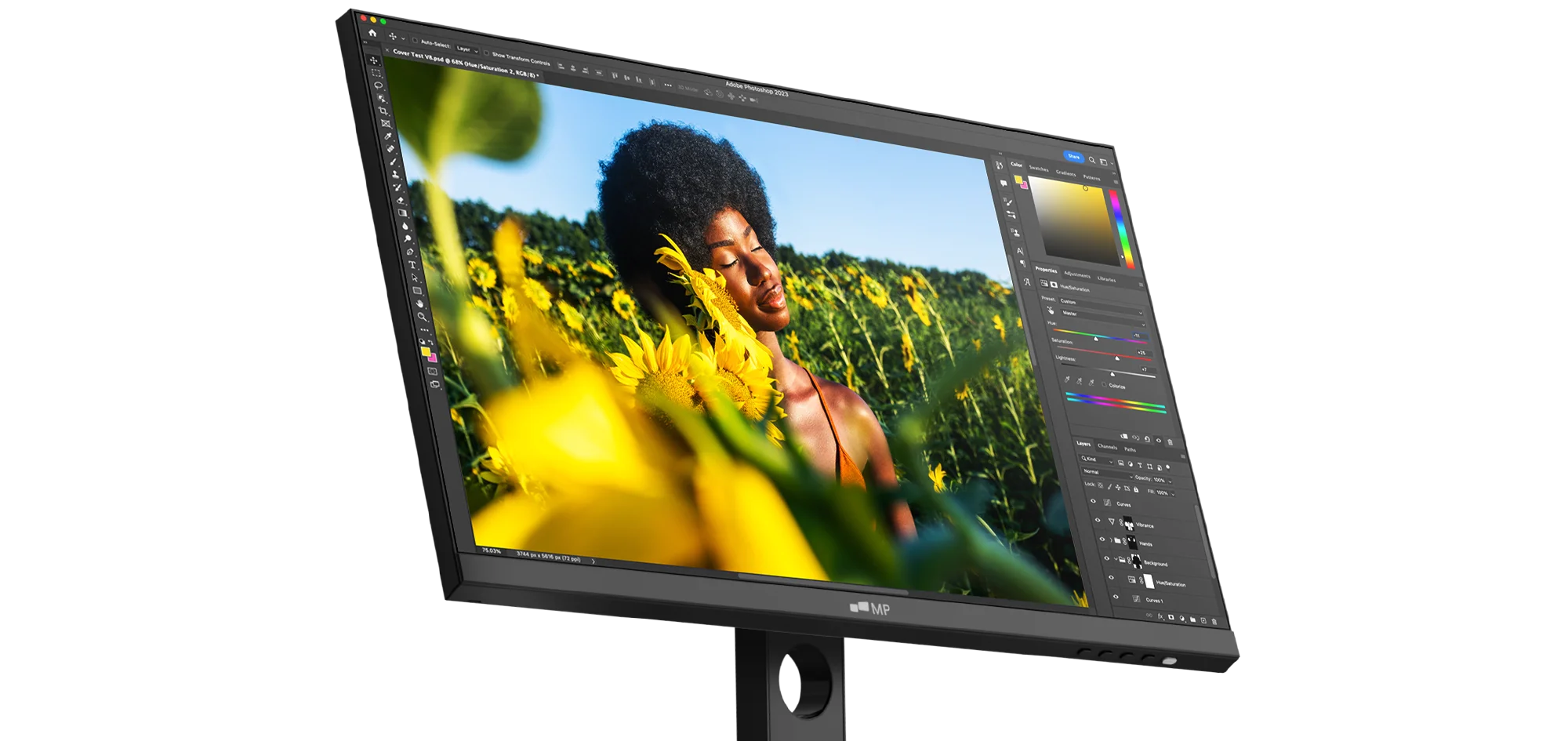 MP 24 inch desktop monitor for photo editing